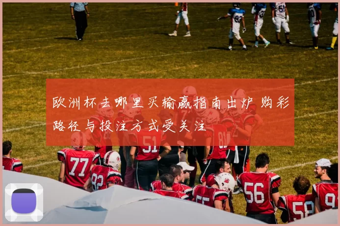 欧洲杯去哪里买输赢指南出炉 购彩路径与投注方式受关注