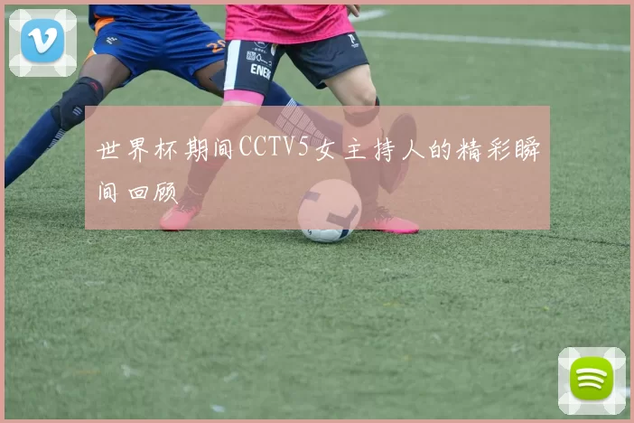 世界杯期间CCTV5女主持人的精彩瞬间回顾