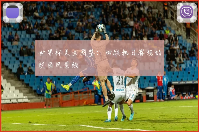 世界杯美女图鉴：回顾韩日赛场的靓丽风景线