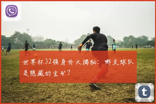 世界杯32强身价大揭秘:哪支球队是隐藏的金矿?