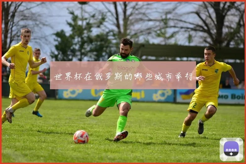世界杯在俄罗斯的哪些城市举行
