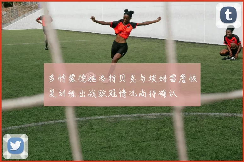 多特蒙德施洛特贝克与埃姆雷詹恢复训练出战欧冠情况尚待确认