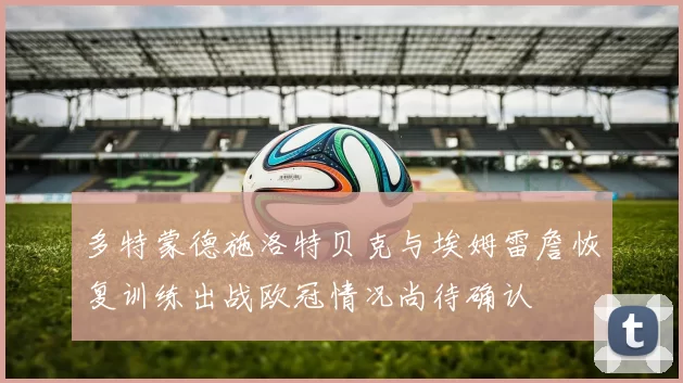 多特蒙德施洛特贝克与埃姆雷詹恢复训练出战欧冠情况尚待确认