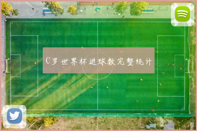 C罗世界杯进球数完整统计