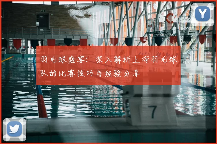 羽毛球盛宴:深入解析上海羽毛球队的比赛技巧与经验分享