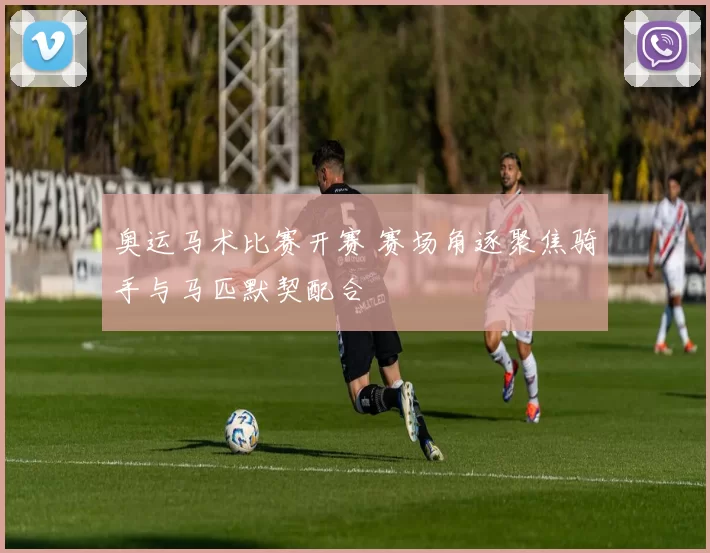 奥运马术比赛开赛 赛场角逐聚焦骑手与马匹默契配合