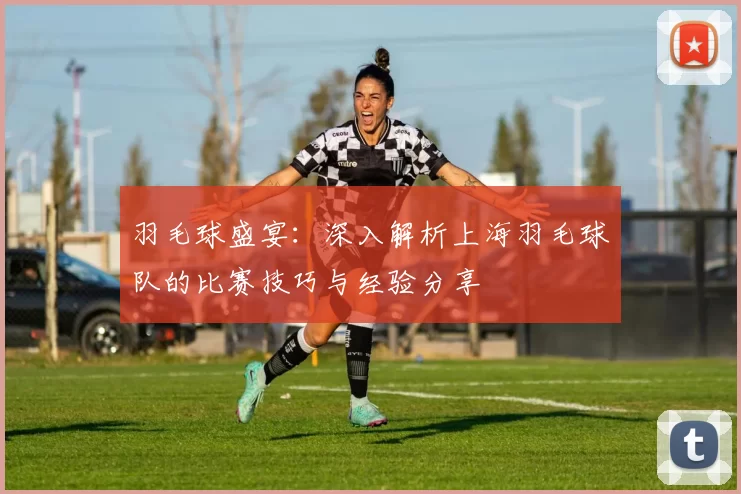 羽毛球盛宴:深入解析上海羽毛球队的比赛技巧与经验分享