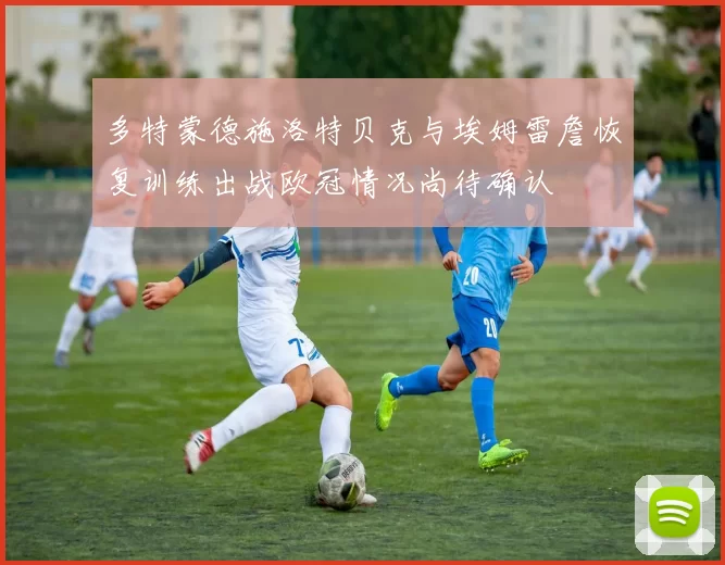 多特蒙德施洛特贝克与埃姆雷詹恢复训练出战欧冠情况尚待确认