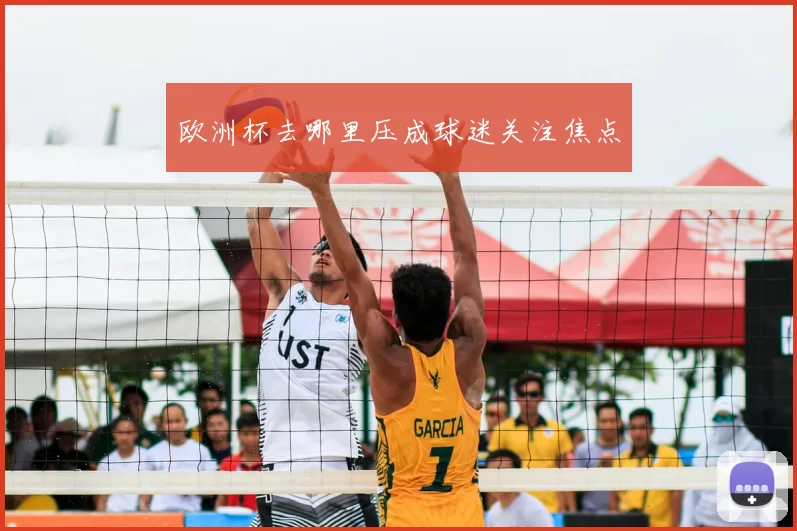 欧洲杯去哪里压成球迷关注焦点