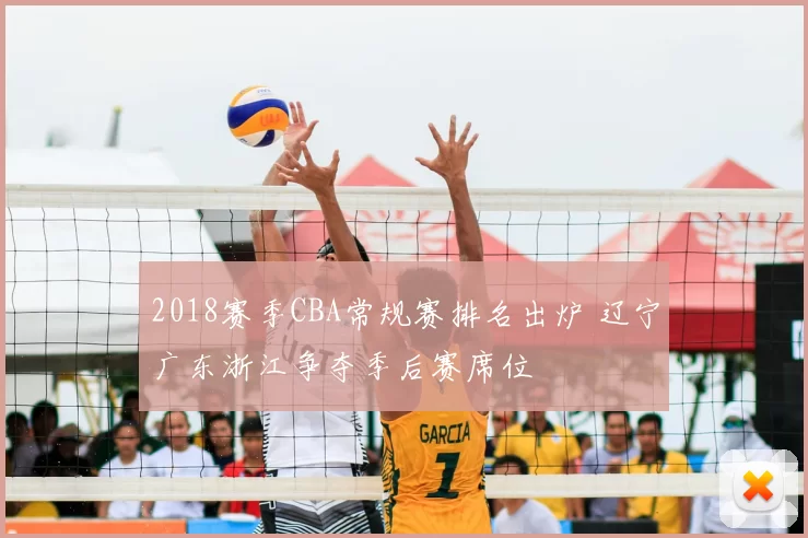 2018赛季CBA常规赛排名出炉 辽宁广东浙江争夺季后赛席位