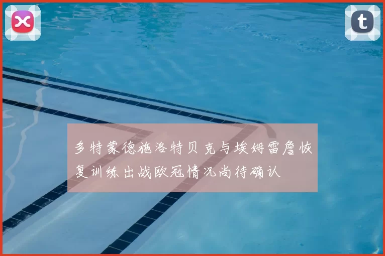 多特蒙德施洛特贝克与埃姆雷詹恢复训练出战欧冠情况尚待确认